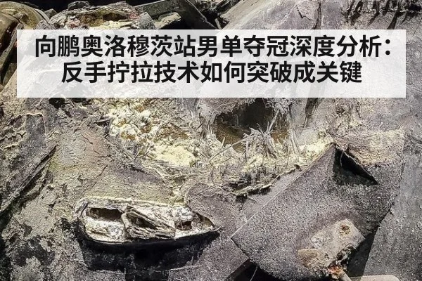 向鹏奥洛穆茨站男单夺冠深度分析:反手拧拉技术如何突破成关键