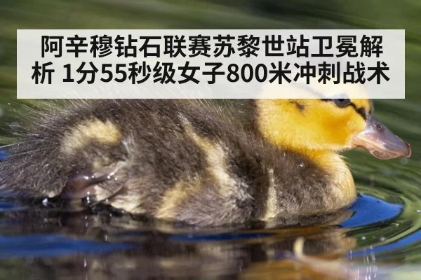 阿辛穆钻石联赛苏黎世站卫冕解析 1分55秒级女子800米冲刺战术