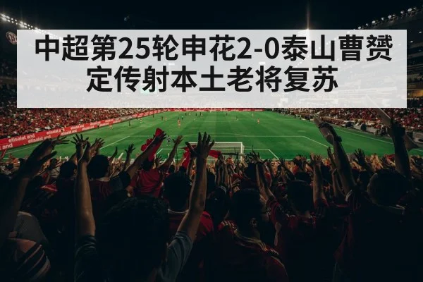中超第25轮申花2-0泰山曹赟定传射本土老将复苏